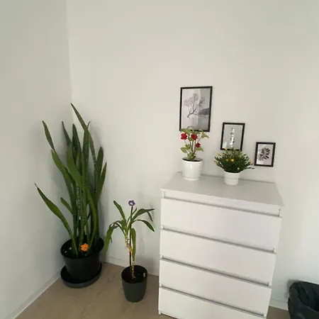 In - G5 Проживание в семье *